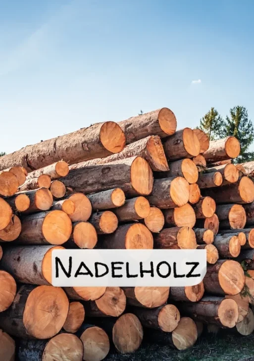 Stammholz – Nadelholz – ganze LKW-Ladung 40 RM